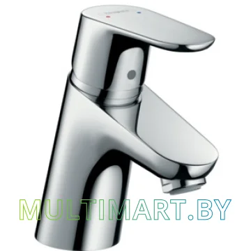 Смеситель Hansgrohe Focus 31733000